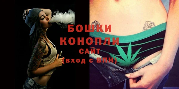 спайс Щигры