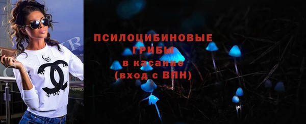 спайс Щигры