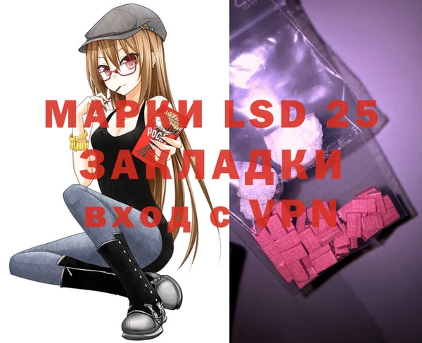 спайс Щигры
