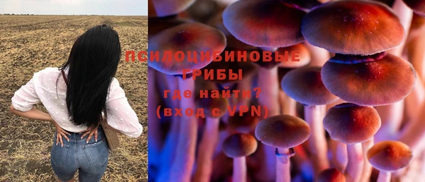 спайс Щигры
