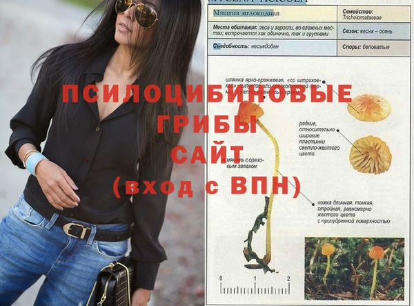 спайс Щигры