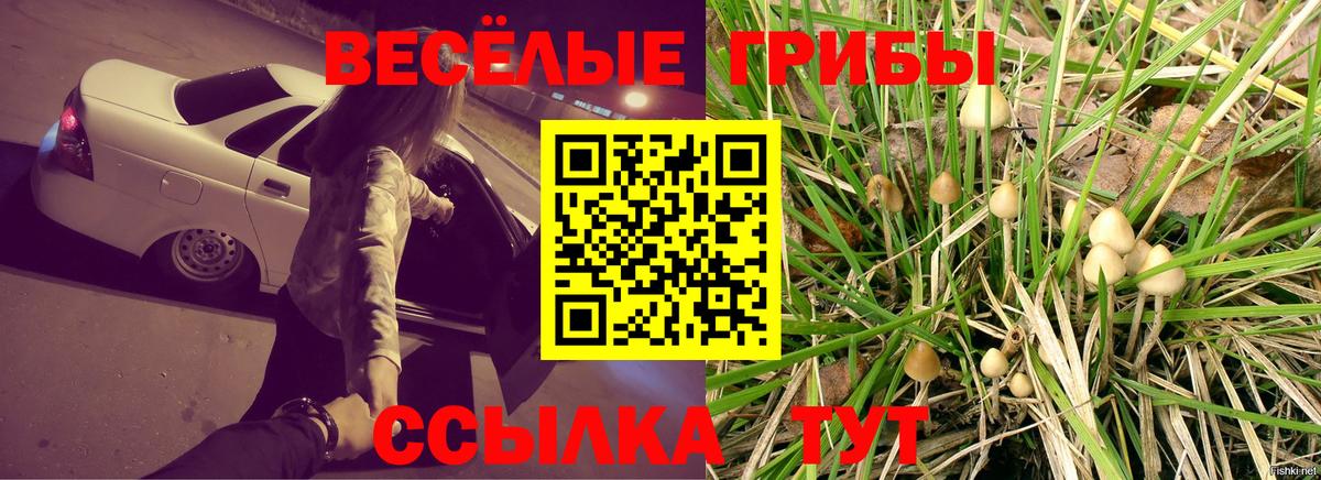 Прокопьевск  Псилоцибиновые грибы Psilocybine cubensis  где найти   Вход с VPN 