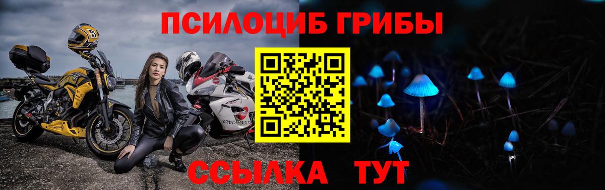 Псилоцибиновые грибы мухоморы Прокопьевск